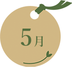 05月