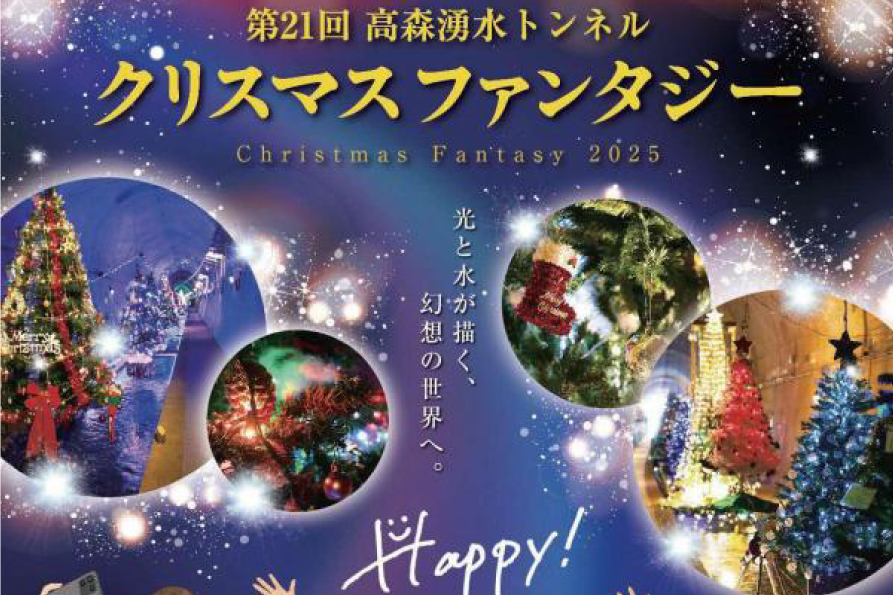 第21回 高森湧水トンネル公園 クリスマスファンタジー開催のお知らせ