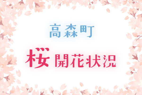 高森町 桜開花状況【毎日更新】