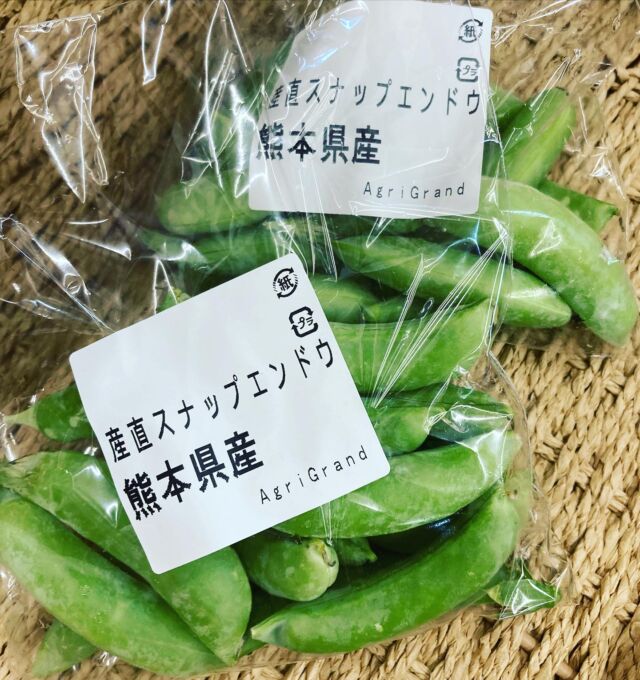 高森观光振兴机构 介绍高森町的观光信息、活动、环境等景点!