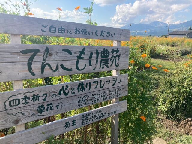 【ご紹介🌸】
⁡
高森湧水トンネル公園の駐車場にて、ねこだけハ研隊の研究員さんが『てんこもり農苑』を造られました✨️✨️
⁡
現在、ピンクと白のそばの花やオレンジのコスモスが２〜３週間ほど見頃となっております❁⃘*.ﾟ
⁡
ハートの形のそばの花はとっても可愛いです♡
⁡
湧水トンネルに行かれた際は是非こちらもお立ち寄り下さい🌙🌼
⁡
 #高森  #高森町  #湧水トンネル公園  #南阿蘇鉄道  #南鉄  #南鉄カフェ 
⁡