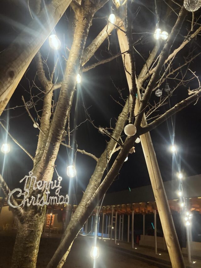 今朝も冷えましたね〜❄️

各地でクリスマスイルミネーションが煌めく12月✨
高森駅しばふ広場でもちょっとずつイルミネーション飾りつけています！
まだこれからバージョンアップしていく予定ですが、昨夜時点でもキレイ✨

高森の寒さも本格的になってきましたが、ぜひ防寒して遊びにきてみてくださいね♪
今月26日にはイベントも予定しています！
お楽しみに☺️✨

#高森駅
#イルミネーション