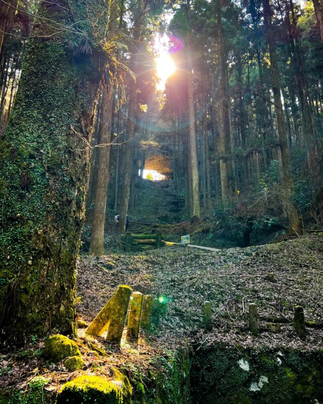 🎍新年明けましておめでとうございます🎍
本年もどうぞよろしくお願いいたします🙇
皆様にとって幸多き一年になりますように🐎 ⡢ ⡢

高森観光推進機構は本日から通常営業を始めております😊
毎年恒例『新酒とふるさとの味まつり』も2月7日(土)より開催！
『新酒列車』もご予約受付中です🍶✨
この冬も、お楽しみが盛りだくさんの
高森町にぜひお越しください❄️

#高森町 #高森観光推進機構 
#上色見熊野座神社 #穿戸磐 
#新酒とふるさとの味まつり #新酒列車