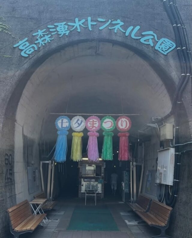 🎋【お知らせ】高森湧水トンネル公園 納涼七夕まつり🎋

7月5日（日）に予定しておりました
「ヤマメのつかみ取り」は、
大雨の影響により、7月26日（日）へ延期となりました。

約束30基の七夕飾りの展示や七夕の願いごとを書いての飾り付けは行っております。

色鮮やかな七夕飾りが並ぶ幻想的なトンネルで、
涼しい夏のひとときをお楽しみください🎋❄️

📅 ヤマメのつかみ取り
▶ 7月26日（日）開催予定

📍高森湧水トンネル公園

詳しい情報は、高森町公式ホームページ・SNSで随時お知らせします。

ご家族やお友達にもぜひシェアをお願いします😊

#高森町 #高森湧水トンネル公園 #納涼七夕まつり #七夕 #熊本観光